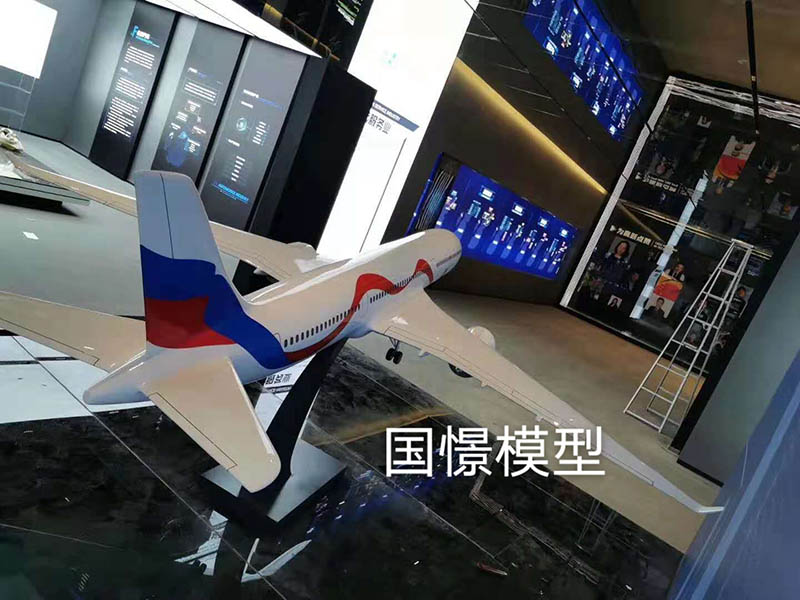 同江县飞机模型